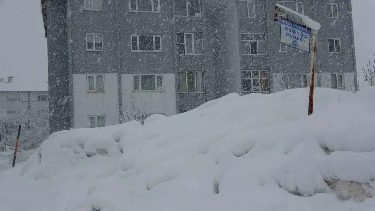 Bitlis’te 304 köy yolu kar nedeniyle ulaşıma kapandı