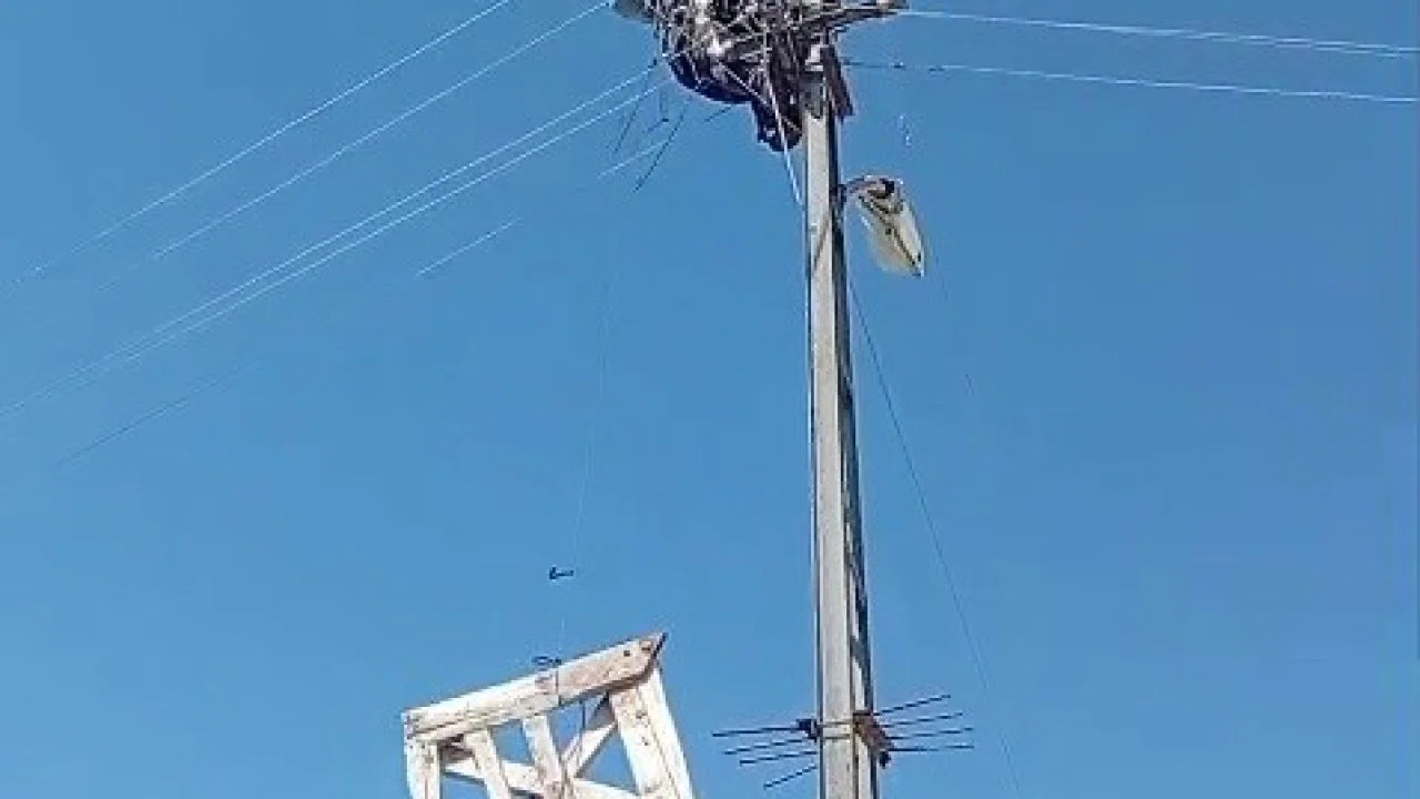 Aras Elektrik’ten doğa dostu adım: Fırtınada zarar gören leylek yuvaları yeniden yerine yerleştirildi