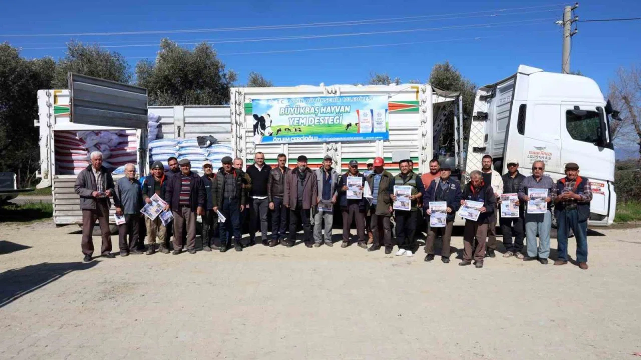 Aydın Büyükşehir’den Yenipazarlı üreticilere yem desteği