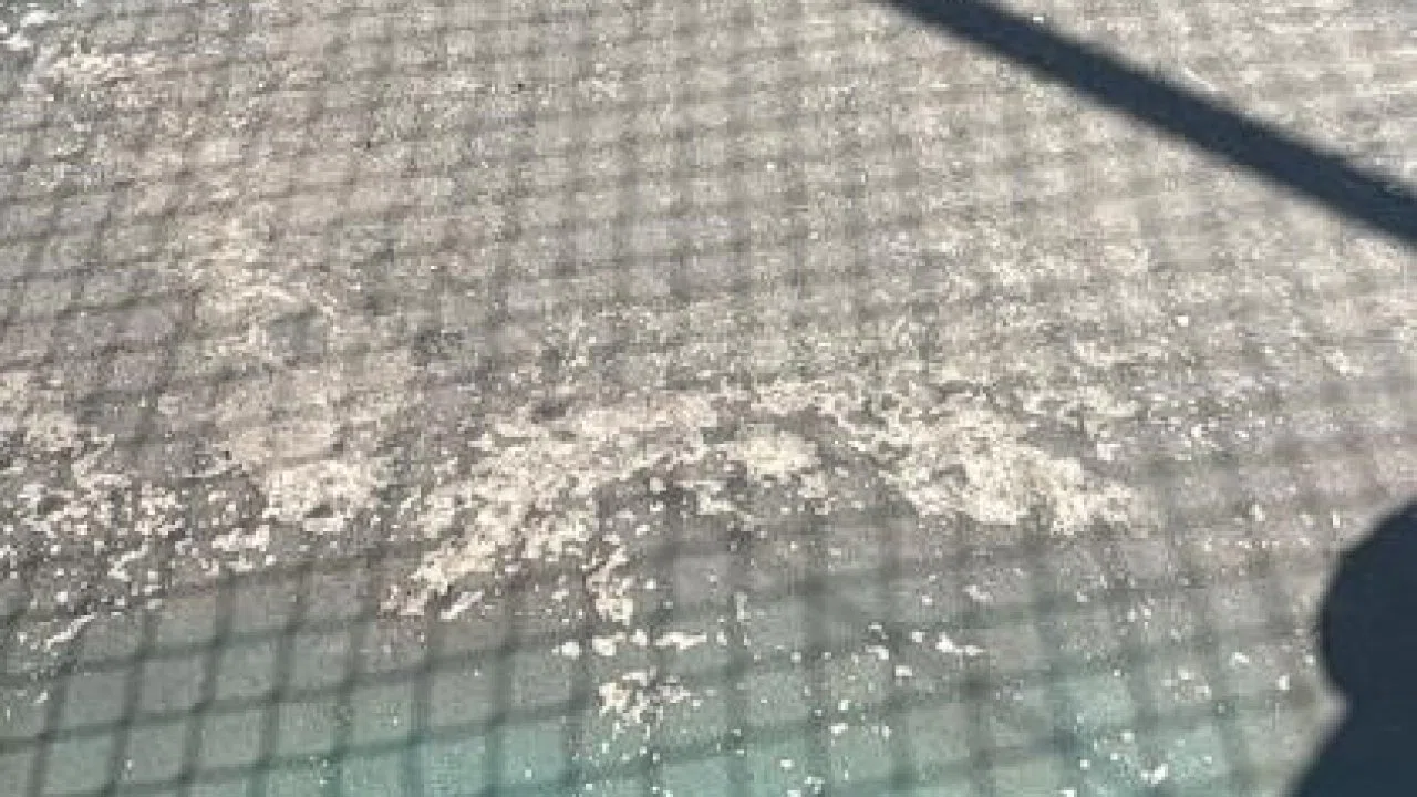 Bilecik’te spor kompleksinin hali işler acısı