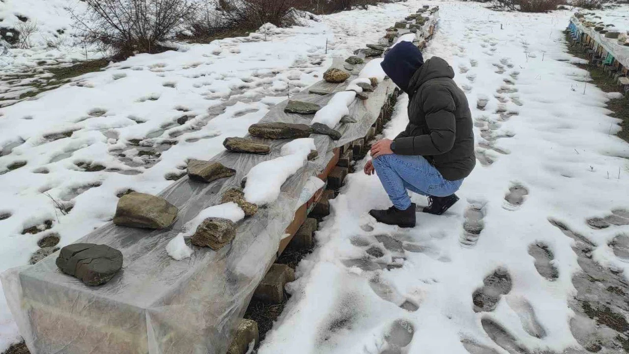 Birincilik getiren arılarını kış şartlarında özenle koruyor