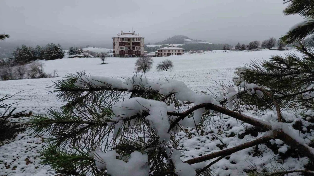 Bolu martta yağan karla beyaza büründü