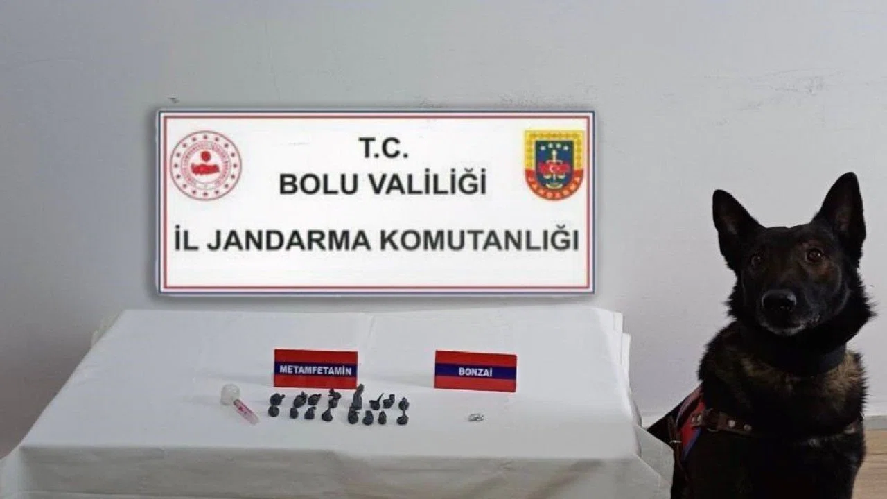 Bolu’da uyuşturucu operasyonu