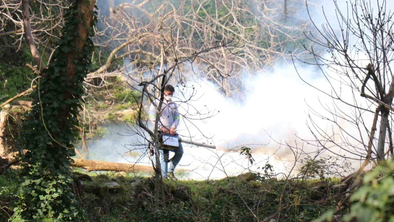Bozdoğan Belediyesi ilaçlama çalışmalarını aralıksız sürdürüyor