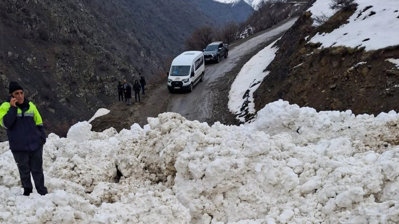 Çatak’ta çığ düştü: 1 mahalle ve 8 mezraya ulaşımı sağlanamıyor