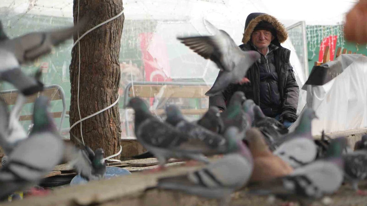 "Çocukların Kuşçu Dedesi" kuşlar için meydanı terk etmiyor