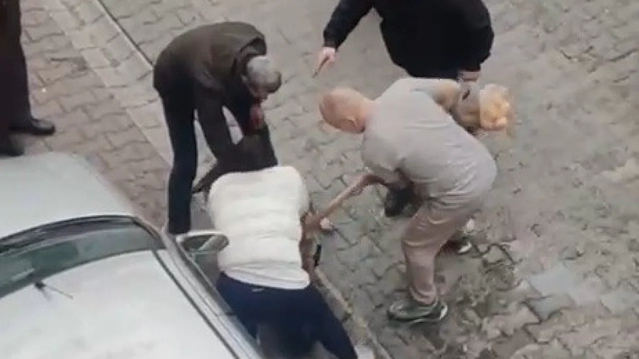 Çorlu’da pitbull dehşetinde yeni görüntüler: Köpek sahibi müdahaleye engel oldu, gerilim büyüdü