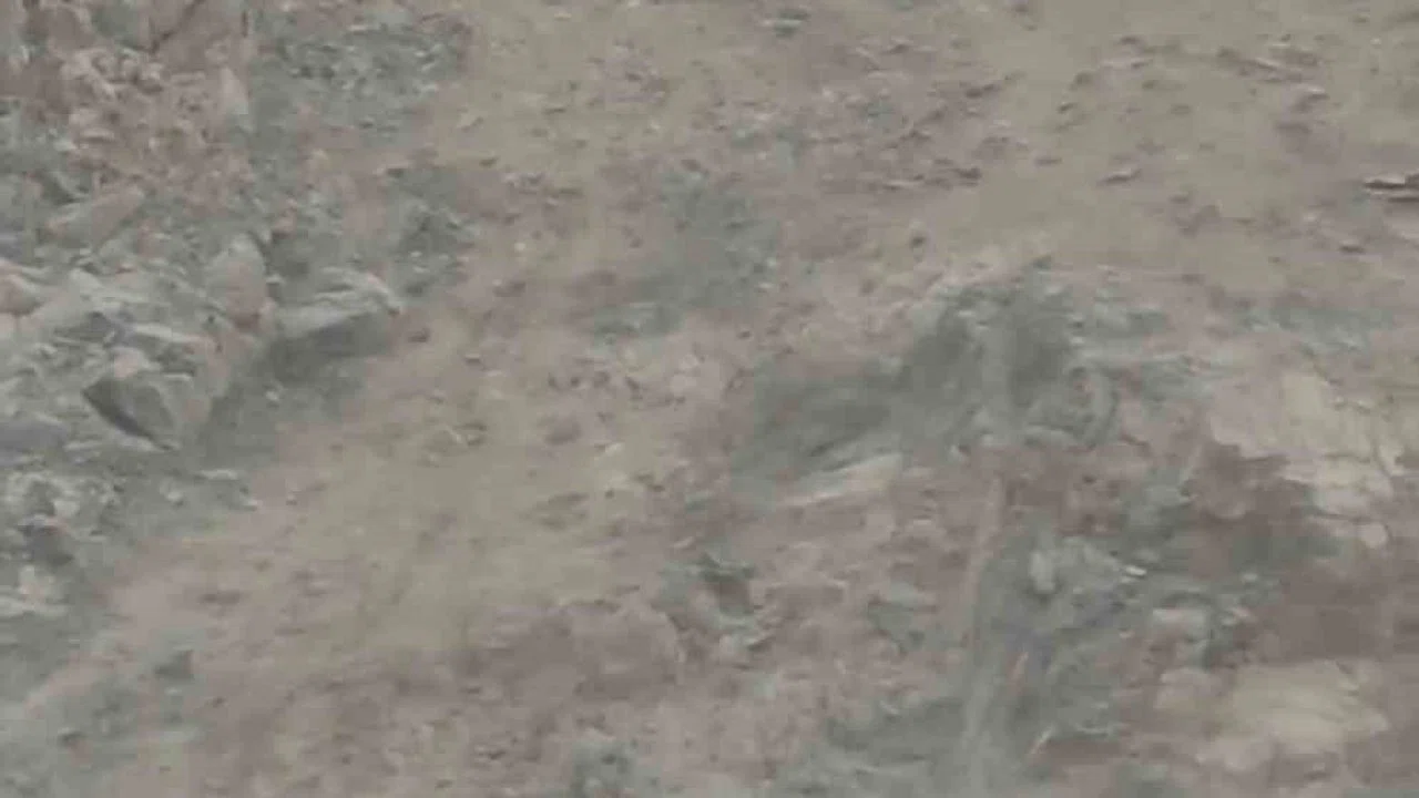 Diyarbakır’da nesli tükenme tehlikesi altında bulunan dağ keçileri sürü halinde görüntülendi