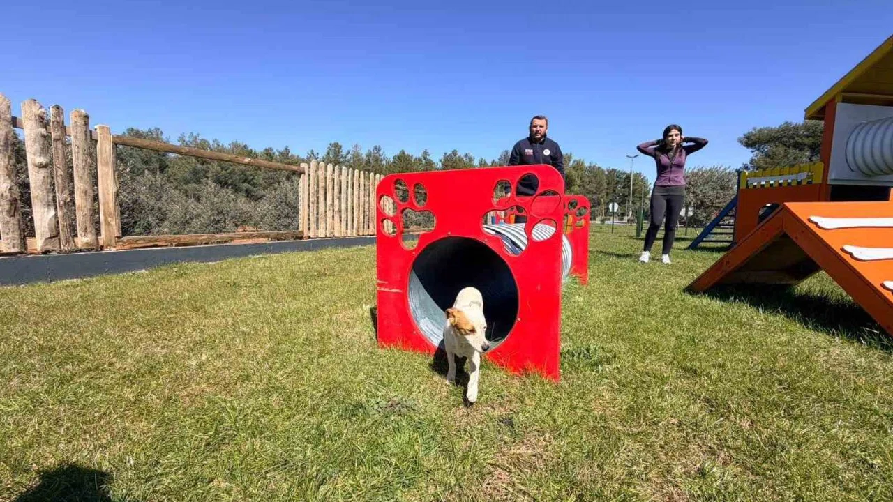 Duacı Mahallesi’nde Pati Park hizmet açıldı