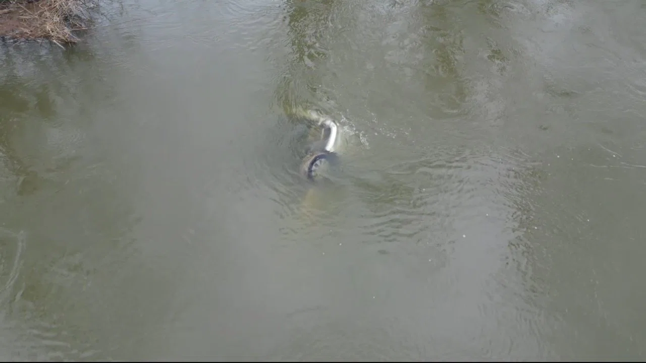 Edirne’de taşkında nehre düşen otomobil 1 ay sonra bulundu