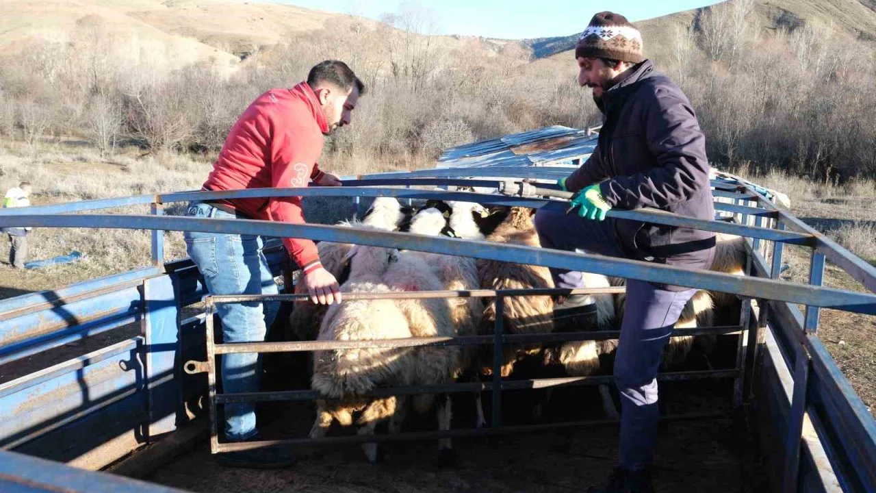 Erzincan’da besiciler 8 aylık göçe başladı