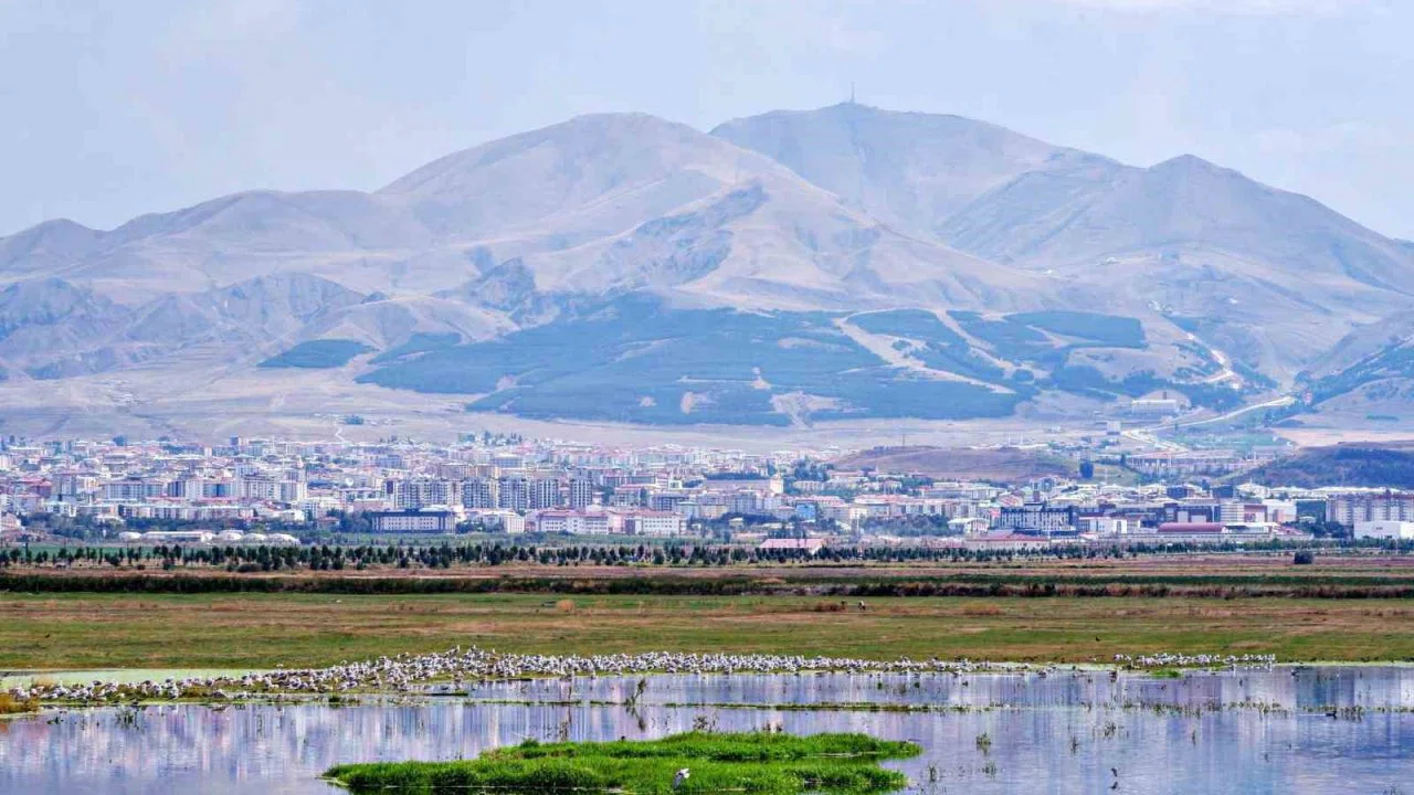 Erzurum ve Bakü petrol hattında 1921’de kritik duraklama