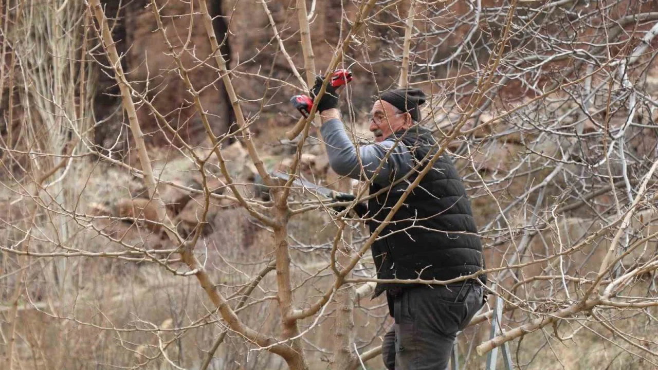 Erzurum’da köylerde bahçe bakım çalışmaları başladı