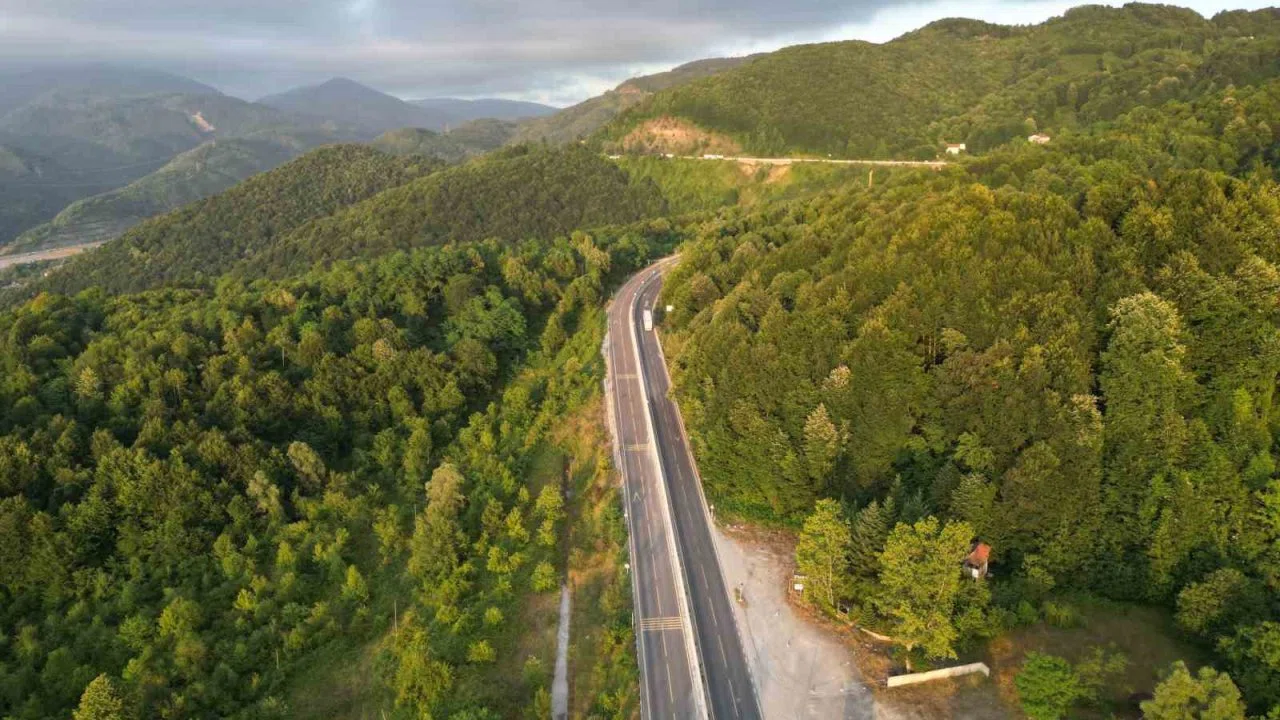 Google’da 3,5 milyon kez aranan Bolu Dağı tartışmasının altından bakın ne çıktı