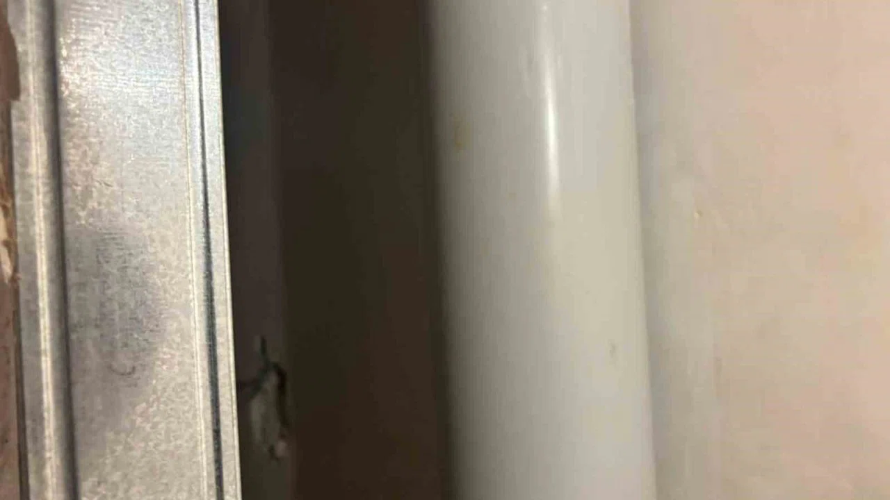 Gri kategoride aranan FETÖ firarisi Şadan Sakınan yakalandı