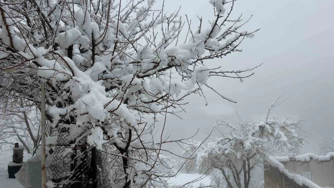 Hakkari’de 82 yerleşim yerinin yolu kapandı