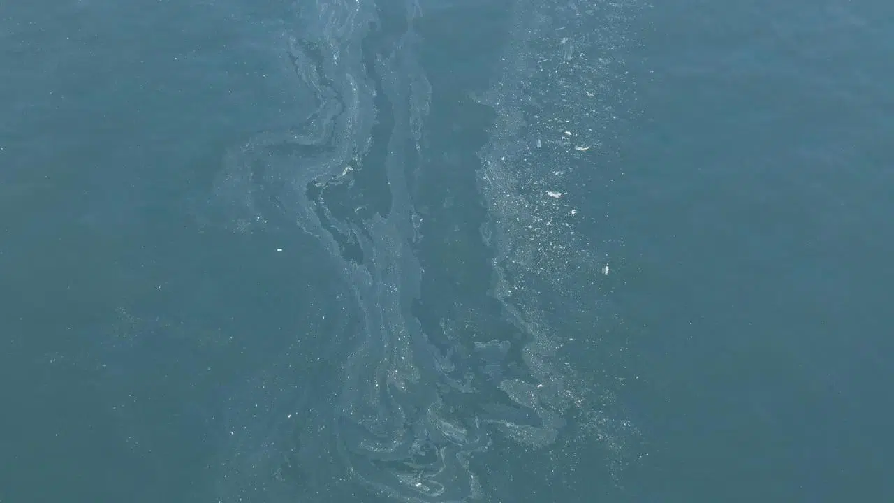 İzmir Körfezi’nde 7. Kirlilik Skandalı: Tersane Şüphesi