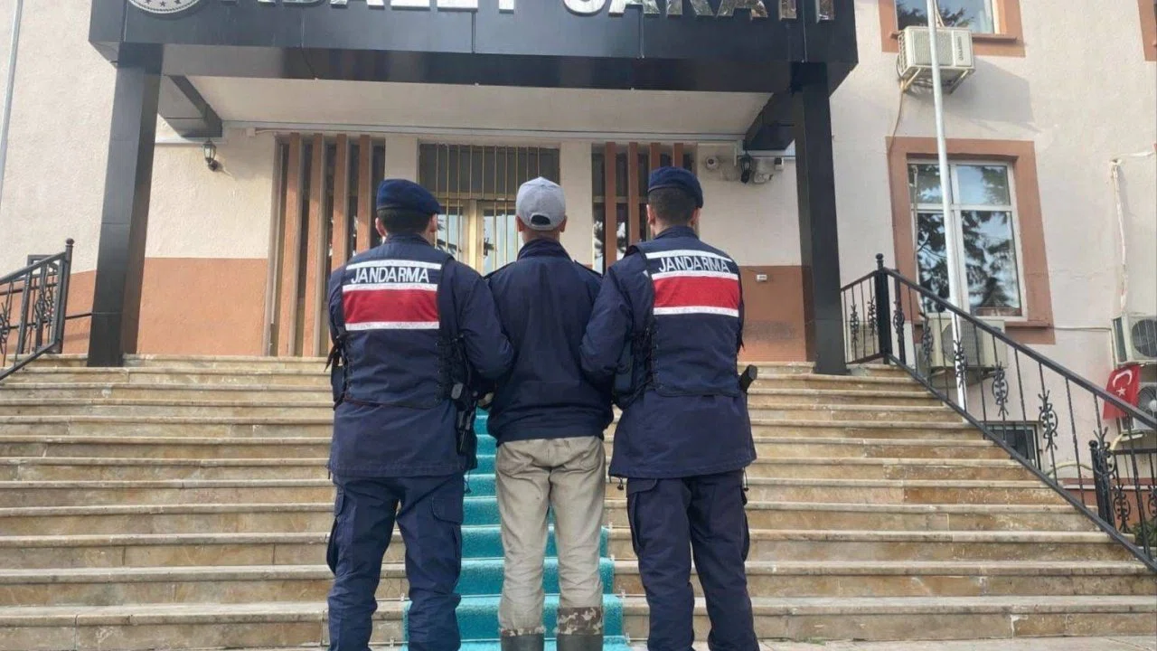 Kendisine saldıran köpeklerin sahibini vuran 17 yaşındaki şüpheli tutuklandı