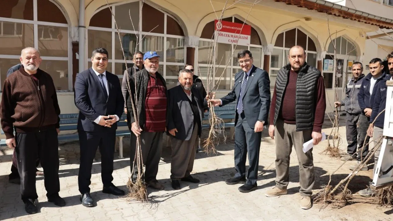 Kütahya’da yerel kiraz türleri yeniden toprakla buluşuyor