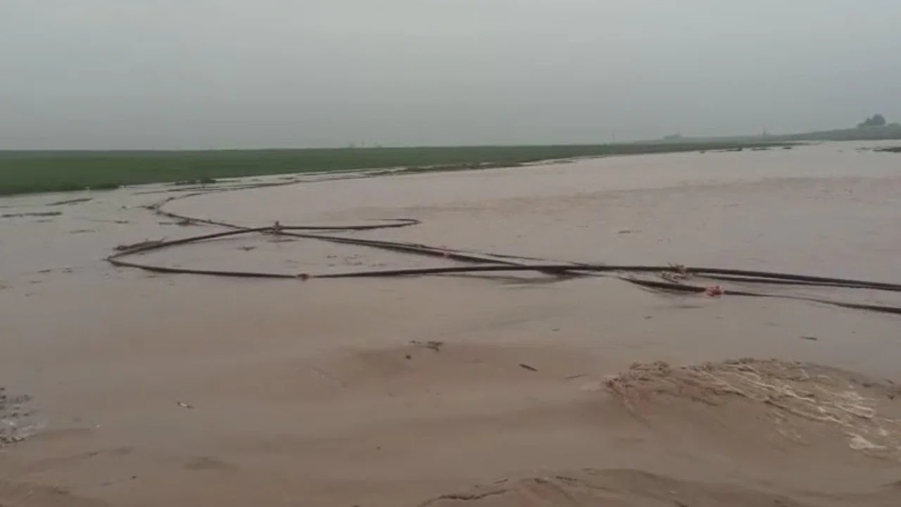 Mardin’de sağanak hayatı felç etti: Dereler taştı, ahır çöktü