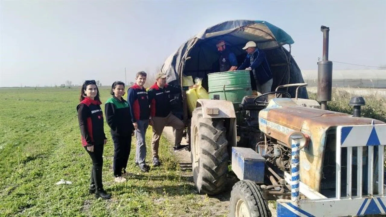 Meralar devlet-vatandaş işbirliğiyle ıslah ediliyor