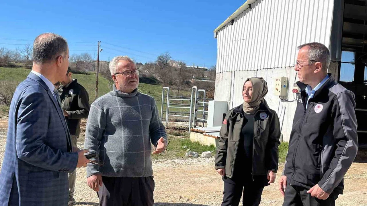 Müdür Ayvalık, üreticilerle tarım ve hayvancılığı inceledi