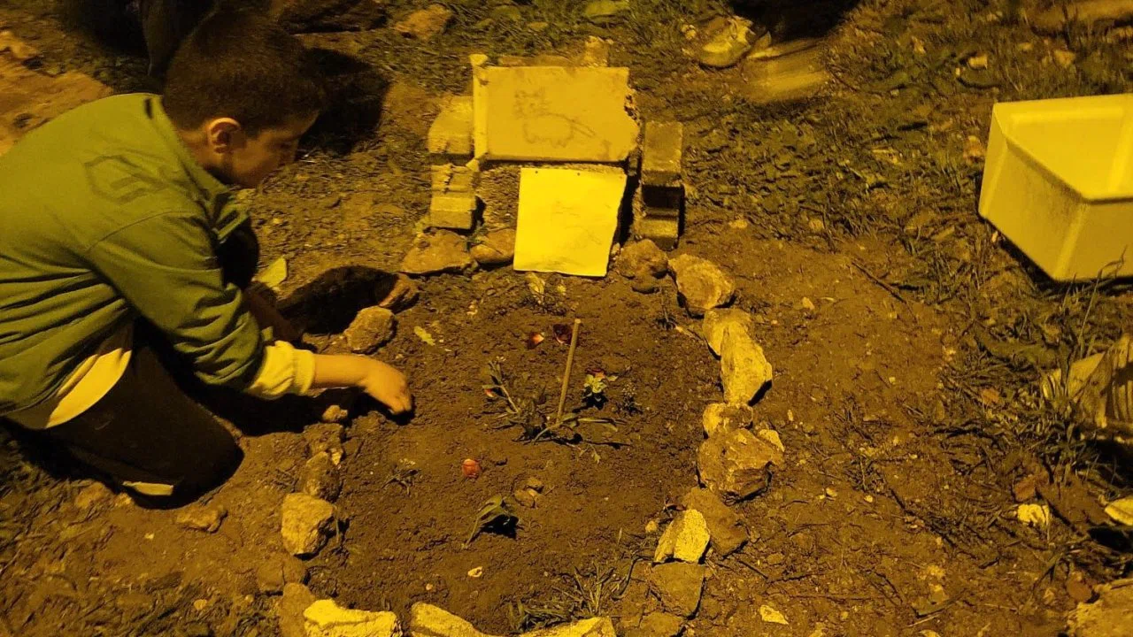 Nusaybin’de çocuklardan telef olan kediye anlamlı veda