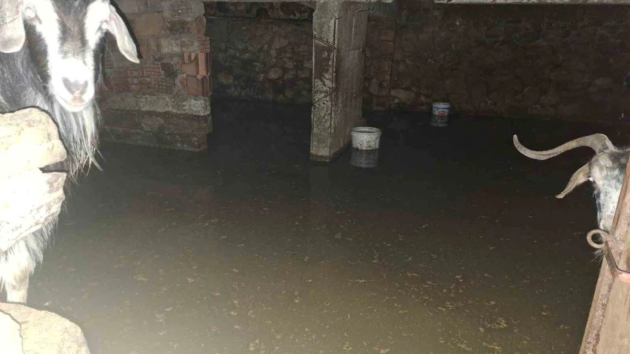 Sel ahırı bastı, 12 keçi ekipler tarafından kurtarıldı