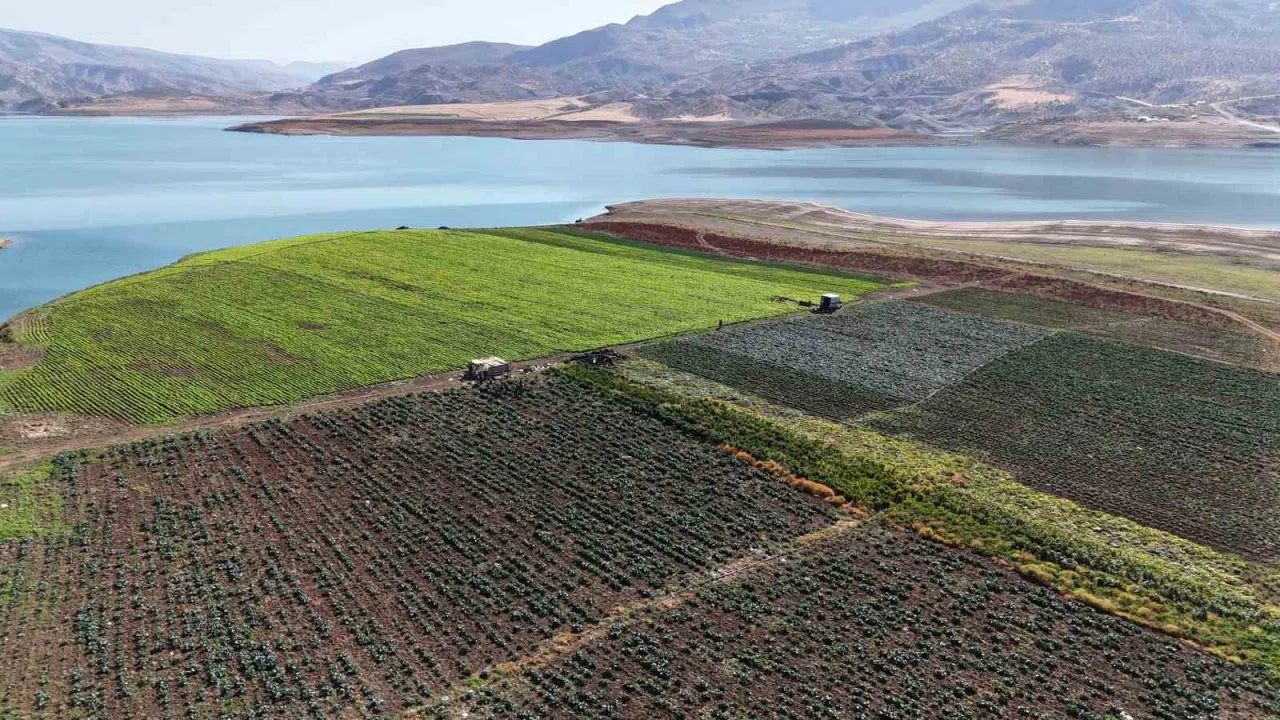 Siirt’te su tahliyesi uyarısı