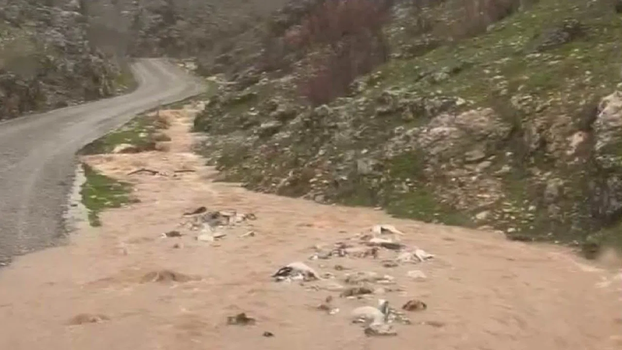 Silvan’da sağanak taşkınlara neden oldu
