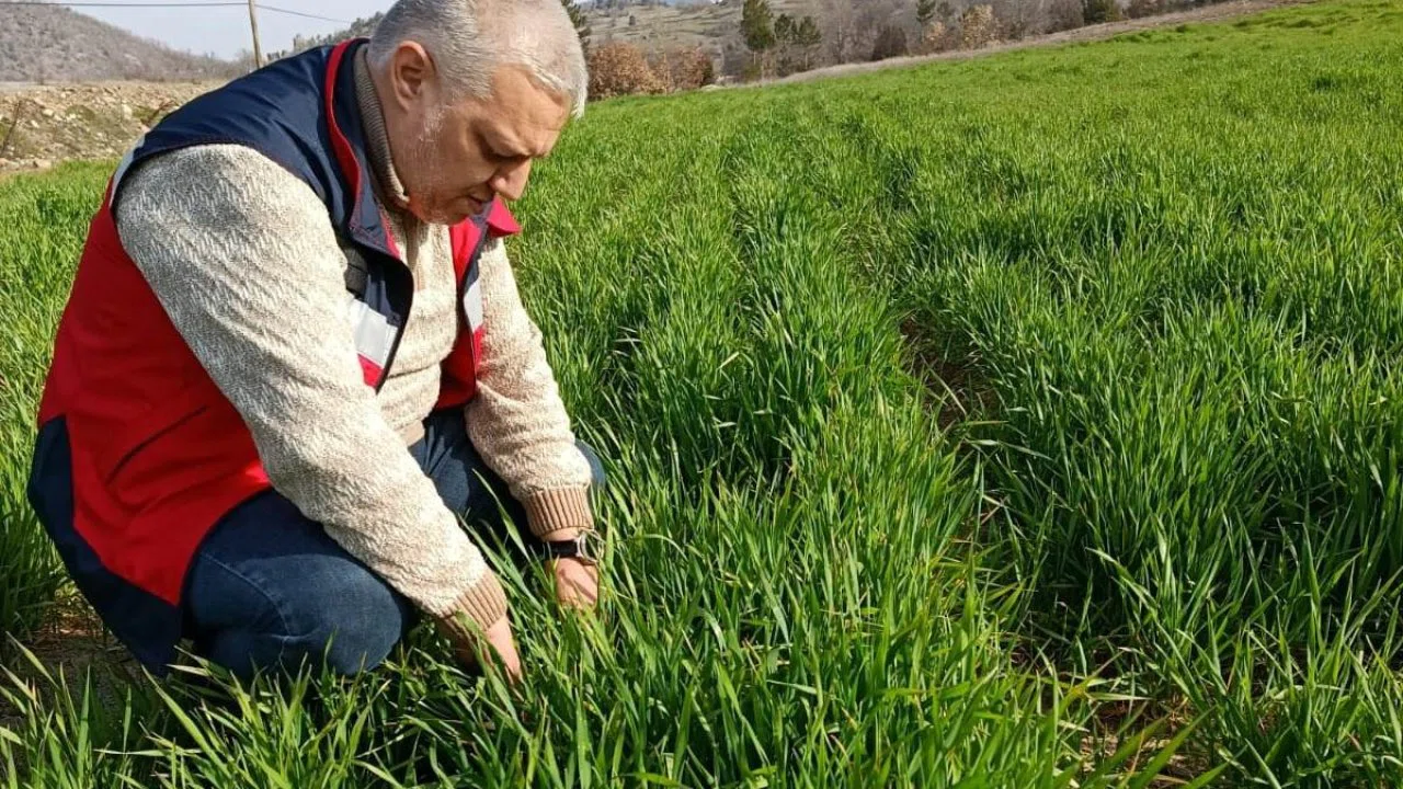 Simav’da tarımsal çalışmalar sürüyor