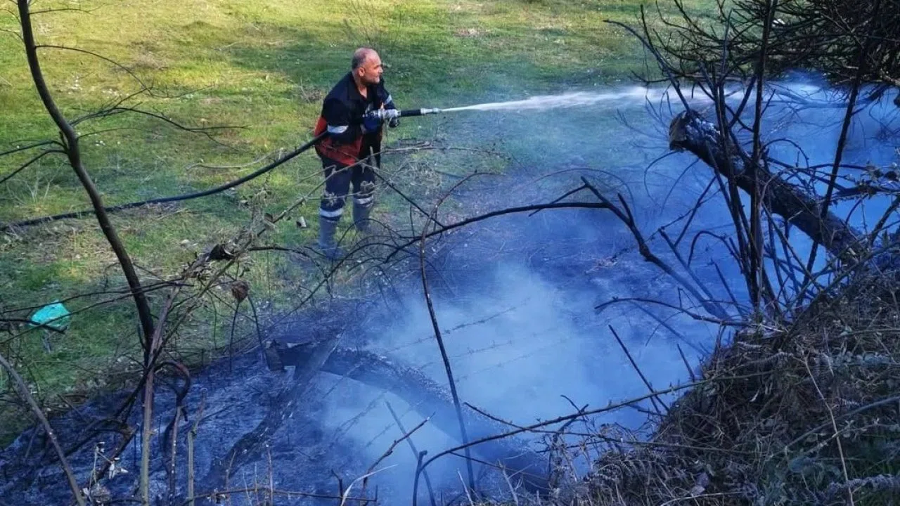 Sinop’ta yangın paniği