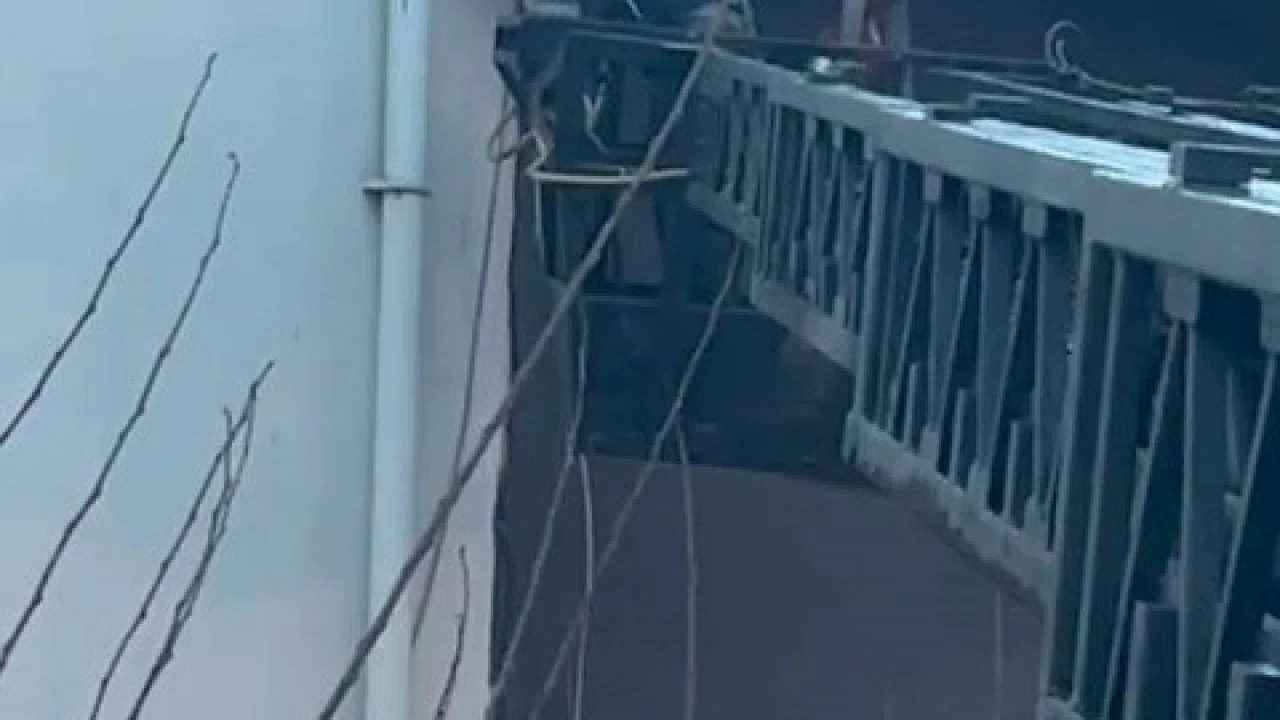 Takıldığı ipte asılı kalan güvercin kurtarıldı