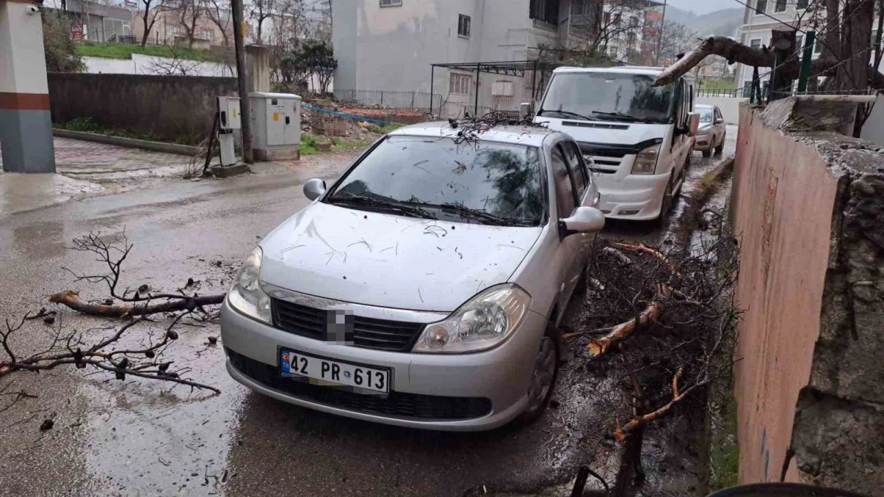 Yağmur ve şiddetli rüzgar çam ağacını devirdi, otomobil zarar gördü