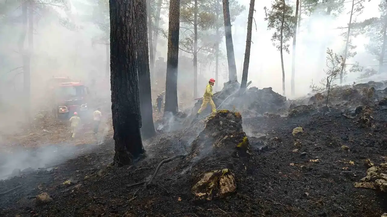 Muğla’da orman yangını alarmı: Valilikten kritik yasak ve uyarı listesi