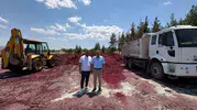 Çal'da hayvancılığa nefes aldıran hamle: Üreticiye pancar küspesi desteği