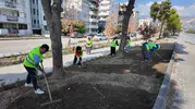 Söke’de şantiye mesaisi: Belediye ekipleri dört koldan sahada