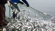 Muğla’da dış ticaret rüzgarı tersine döndü: İhracat rakamlarında rekor artış