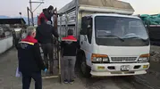 Nazilli'de hayvan pazarına sıkı takip: Eksik evrakı olana geçit yok