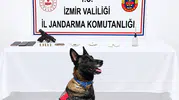 Bademler’de jandarma operasyonu: Hem uyuşturucu hem de hapis cezası çıktı