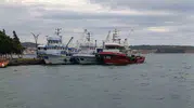 Aliağa'da deniz küstü: Poyraz balıkçıları kıyıya hapsetti