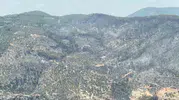 Fethiye'de orman yangını felaketi: Yemyeşil doğa yerini gri bir sessizliğe bıraktı