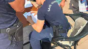 Marmaris sahillerinde skandal görüntü: Kılıç balığını kıyıya sürükleyen kişiye ceza yağdı