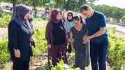 Kadifekale’de toprakla gelen huzur: Başkan Tugay üretici kadınlarla hasat yaptı