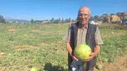 Geçmişin tadı Sarıgöl topraklarında yeniden hayat buluyor: Ata tohumuna sadakat