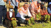 Çocukluk anılarının olduğu topraklarda çiftçiye seslendi: "Bağlar sökülmeden harekete geçilmeli"