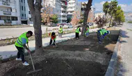 Söke’de şantiye mesaisi: Belediye ekipleri dört koldan sahada