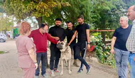 Başmakçı’da evcil dostlar için yeni dönem: Mikroçip ile kayıt altına alınıyorlar