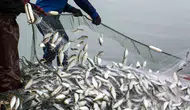 Muğla’da dış ticaret rüzgarı tersine döndü: İhracat rakamlarında rekor artış