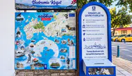 Bodrum’da çevre seferberliği: Hem doğa kazanıyor hem de vatandaş